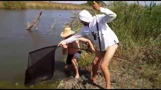 Рыбалка на реке Сал, белый амур 10,2 кг