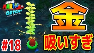 #18【樹海のムーンの難易度やばすぎて、頭がねるねるねるね】森の国スチームガーデン　パワームーン&コインGET　マリオオデッセイ　つちのこ実況