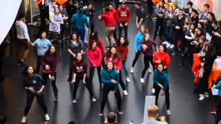 Chorée Bde Pirates 2.0, JPO Novancia Business School Paris
