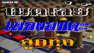 เมดเล่ย์ เพลงอมตะ ลูกทุ่ง