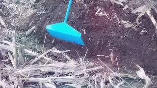 Пропашная сеялка No-till, mini-till, Атрия 8.Испытания 1 день.