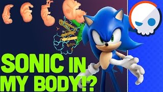 What is the Sonic Hedgehog Protein? | Gnoggin