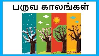 பருவ காலங்கள்  - தமிழரசி | seasons name in Tamil for Kids and Children |Tamilarasi for kids
