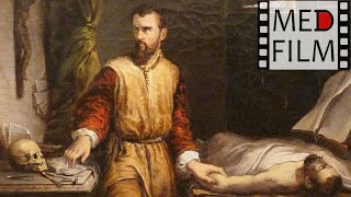 Культура и наука средневековой Европы. Обучение аптекарей ©