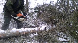 Супер сучкорез - STIHL 271 Русские лесорубы Super delimbers in Russia