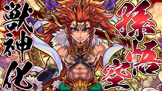 【新キャラ】孫悟空獣神化！希少な5人に分身する号令SSや、バイタルキラーを所持！火力UPアビリティてんこもり！【新キャラ使ってみた｜モンスト公式】