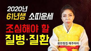 ◆ 61년생 소띠운세 ◆ 2020년1961년운세 생길수있는 질병.질환