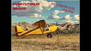 Bush flying in Draco with the Flying Cowboys,  Sandbar hunting in Idaho