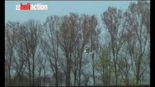 RC-Heli-Action: T-REX 450 Pro von Freakware