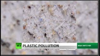 Microplastics pollute Joshua Tree & other parks – study