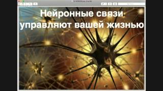 ТИЖ 2 занятие