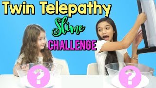 TWIN TELEPATHY CHALLENGE - Slime Edition!!!