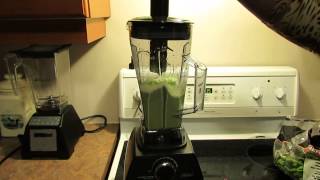 Oster Versa Performance Blender: Spinach ice cream