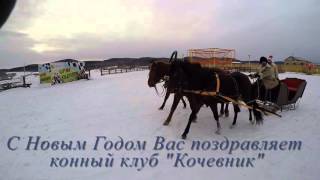 Новогодняя тройка