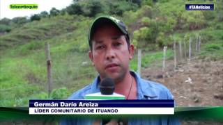 Campesinos de Ituango piensan en la erradicación de cultivos ilícitos