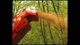 SEPPI M. - MIDIFORST_Drago 2012 - Mulcher for collection into trailer / trincia autocaricante