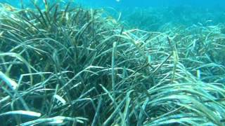 BAJO LAS AGUAS DEL PEÑÓN DE IFACH, CALPE
