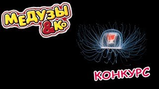 Внимание! Конкурс! Супер медуза от Деагостини.