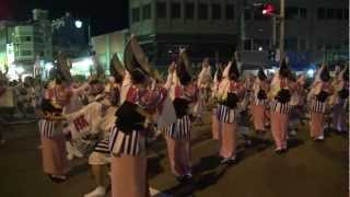 「阿呆連」円陣 8月12日 徳島阿波おどり2012