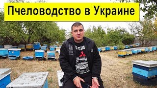 Пчеловодство в Украине Сегодня ✅ ?