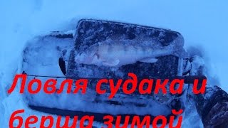 Ловля судака зимой на тюльку / Ловля берша на Каме / Зимняя рыбалка на судака и берша - выпуск №2
