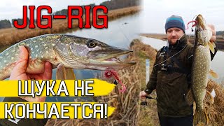 ЗДЕСЬ ЩУКА НЕ КОНЧАЕТСЯ! Ловля щуки зимой на спиннинг. Рыбалка на щуку 2020. Щука на джиг-риг
