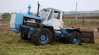 Tractor T-150K rammer silage /// Трактор Т-150К на трамбовке силоса