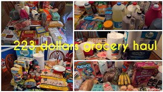 $220 Walmart grocery haul || 2 Weeks Family grocery haul