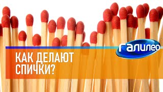 Галилео | Спички?[Matches]