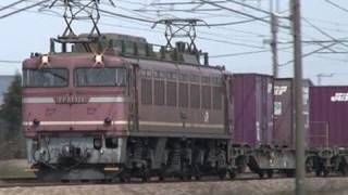 (HD) 日本海縦貫線 貨物列車の主力 EF81型交直流電気機関車 (EF81がいっぱい)