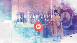 Воскресная проповедь. Ты высшее существо, человек.  // 22 июля 2018