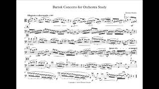 Ž. Smalys  - Bartok Concerto for Orchestra Study for bassoon