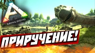 ARK: Survival Evolved — Приручение! #3