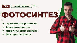 Фотосинтез | ЕГЭ Биология | Даниил Дарвин