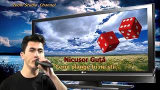 NICOSOR GUTA - CERUL PLANGE TU NU STII, SKY CRY, YOU DO NOT KNOW, ZOOM STUDIO