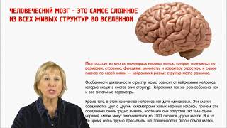 Ольга Бутакова о том, как мозг управляет нами