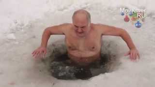 Где в Клину обитают моржи?