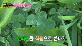 매일 풀을 뜯어먹는 여자, 왜? [정보통 광화문 640] 49회 20170907