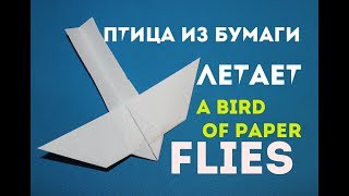 Птица из бумаги. Летает. Bird out of paper. Flies