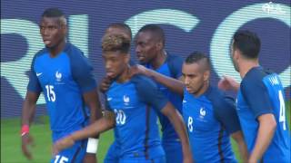 France - Cameroun, le but de Blaise Matuidi