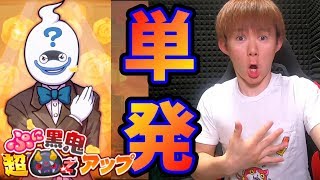 もう全財産ガシャだ！Zランクぷに黒鬼が！妖怪ウォッチぷにぷにYo-kai Watchさとちんゲーム