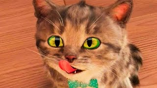 ПРИКЛЮЧЕНИЕ МАЛЕНЬКОГО КОТЕНКА мультик смешное видео для детей мультфильм про котиков #УШАСТИК КИДС