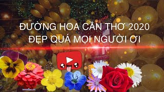 [2.7K đẹp] Đường hoa Cần Thơ tết 2020 năm nay đẹp quá | Can Tho opens flower street 2020