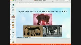 Ольга Писарик. Привязанность - это...