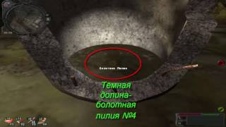 STALKER  ЗОЛОТОЙ ОБОЗ 2  Семь лилий Болотному Доктору