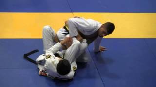 Semi-Finals: João Miyao vs. Kim Terra