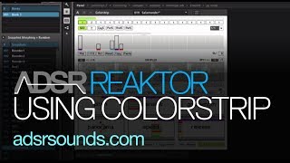 NI Reaktor - Using Colorstrip - How to Tutorial