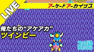 【ツインビー/フロッガー】俺たちのアケアカ【ファミ通】