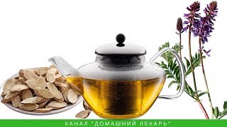 Чай из корня астрагала укрепляет иммунитет - Домашний лекарь - выпуск №187