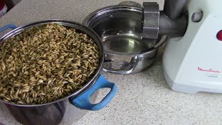 Овсяный самогон. #1. Брага из овса. Овсянка